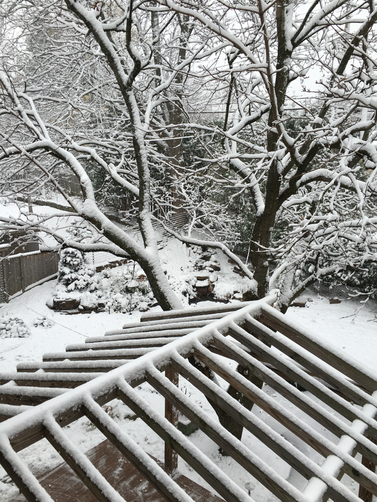 menloprez's tweet photo. She: it’s good packin’ snow Rich. Me: Hmmm. We: #firstsnowballfight of the season.#winter #wonderland #joy https://t.co/xh3uAXJI4Q