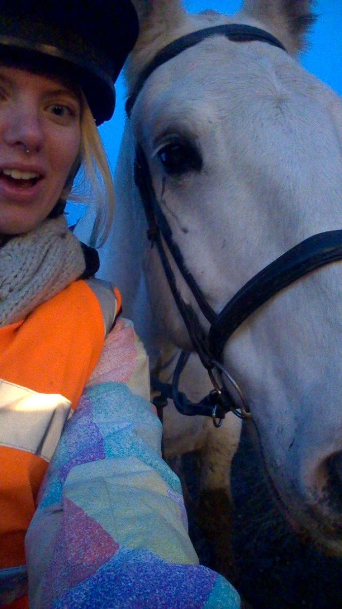 SHUEquestrian's tweet image. Photo's from both the hacks with @PonyTrek today! #shuec