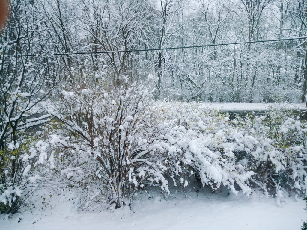 Tina_Inspired's tweet photo. In case you missed the memo.. Its snowed. #instantwinter #letitsnow https://t.co/qx4Q2IAq5f