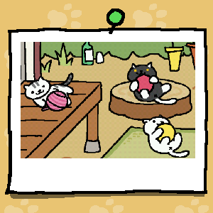 Kittins in my yard 😍😍😍#NekoAtsume #ねこあつめ