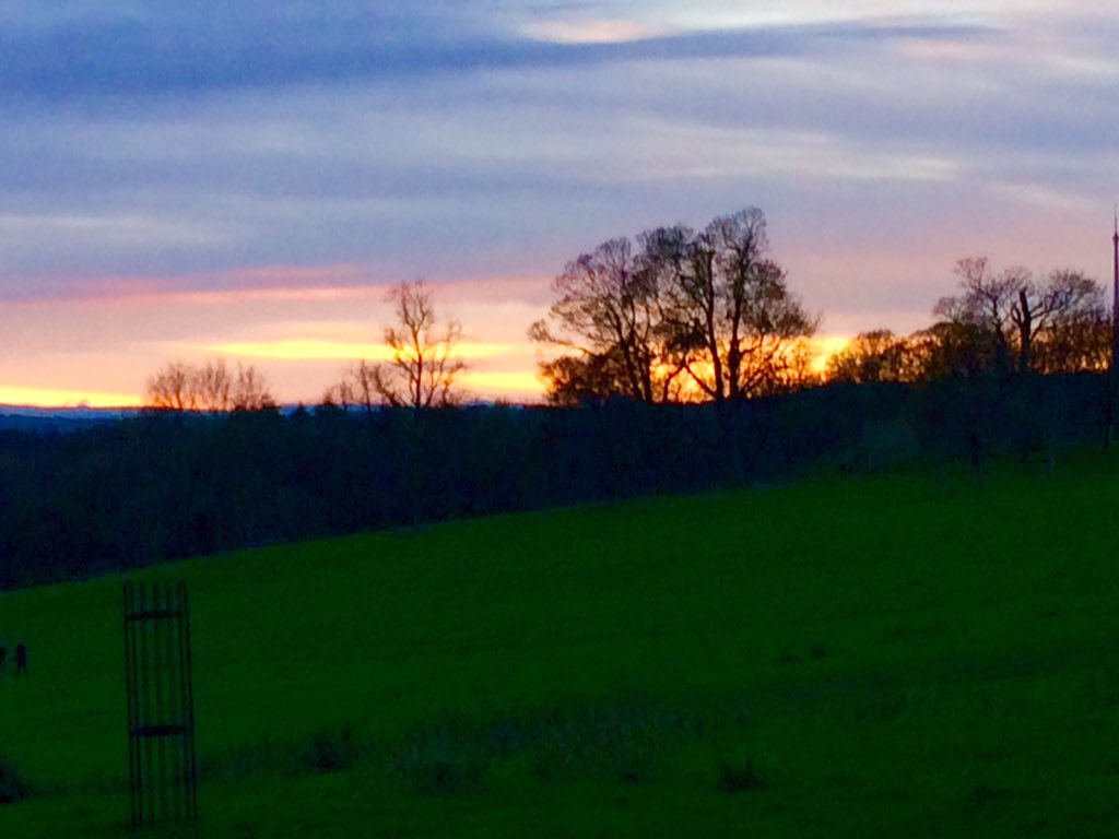 HattonRoger's tweet image. Great day @YSPsculpture today, here's the sunset, Bill Viola exhibition is good too !