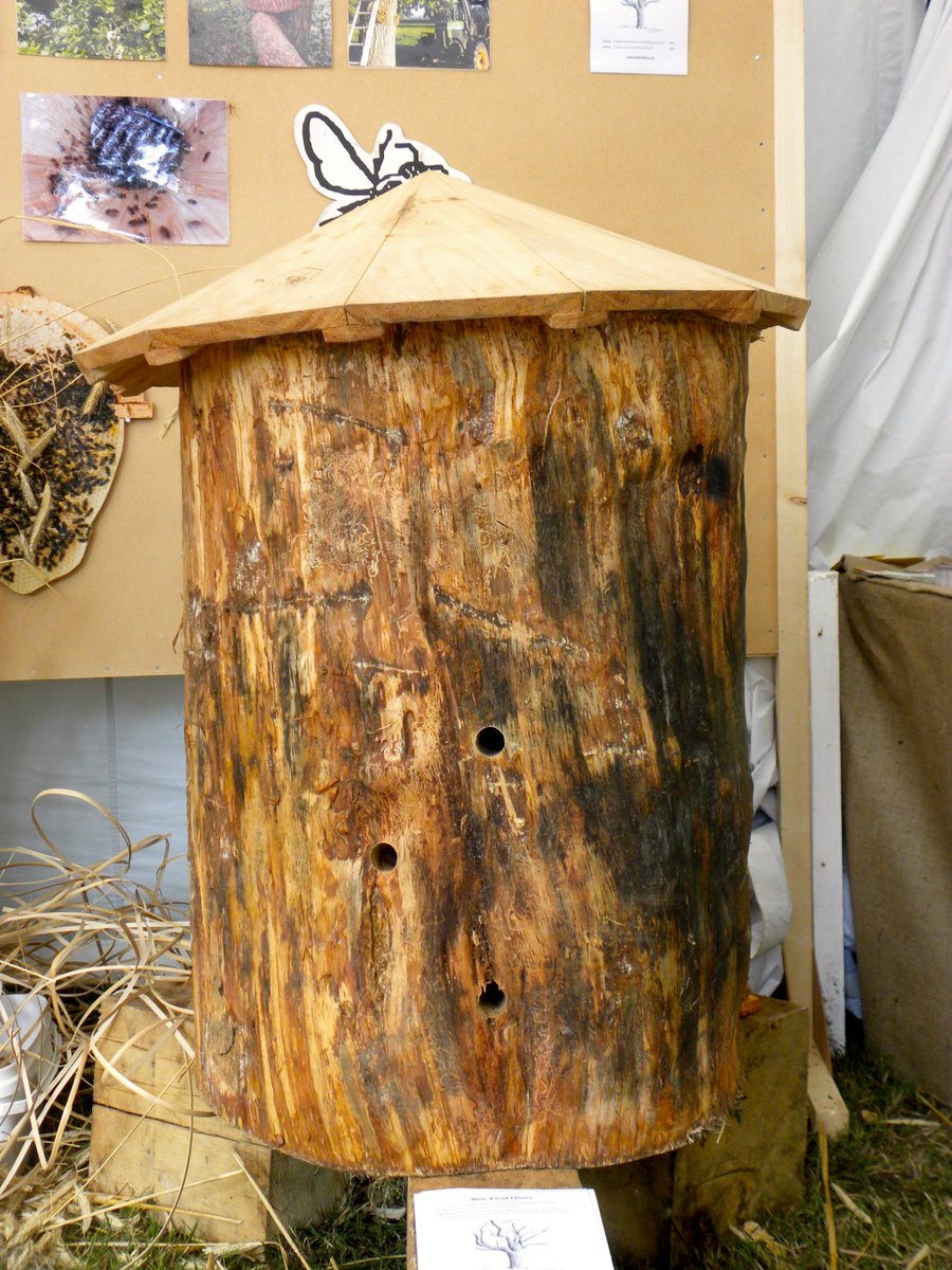 NaturalBeeTrust's tweet image. Take 2 men, faith in the #bees &amp;amp; a chainsaw - how to make a splendid beehive
youtu.be/pBikO86q130
#treebeekeeping