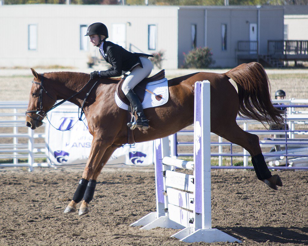 kstatecollegian's tweet photo. Equestrian closes fall season in Delaware https://t.co/zd537kaY3n #horsecats #kstateequ https://t.co/W0yKNMowqB