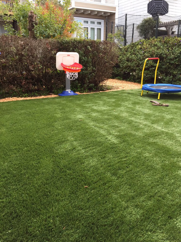 LizzDev's tweet photo. Let there be grass!! #drought #artificialgrass #WeActuallyDidIt https://t.co/nqa2FXHZf5