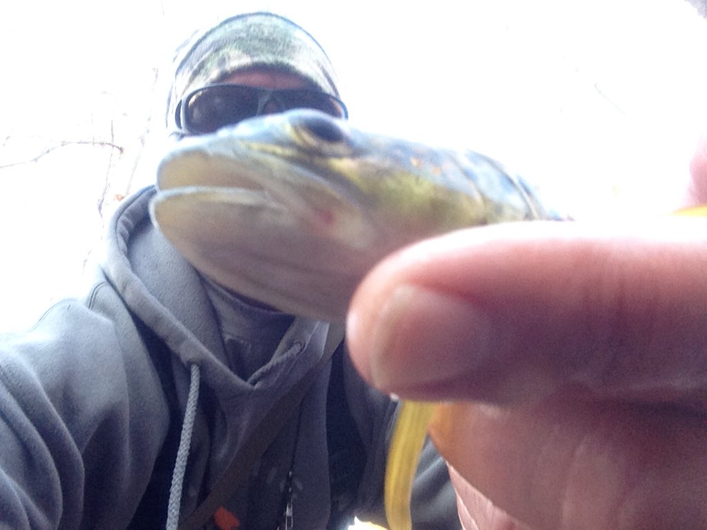 chickenchucker1's tweet photo. #wildbrowntrout #rossreels #spectator #njflyfishing # https://t.co/e350m5YCnP