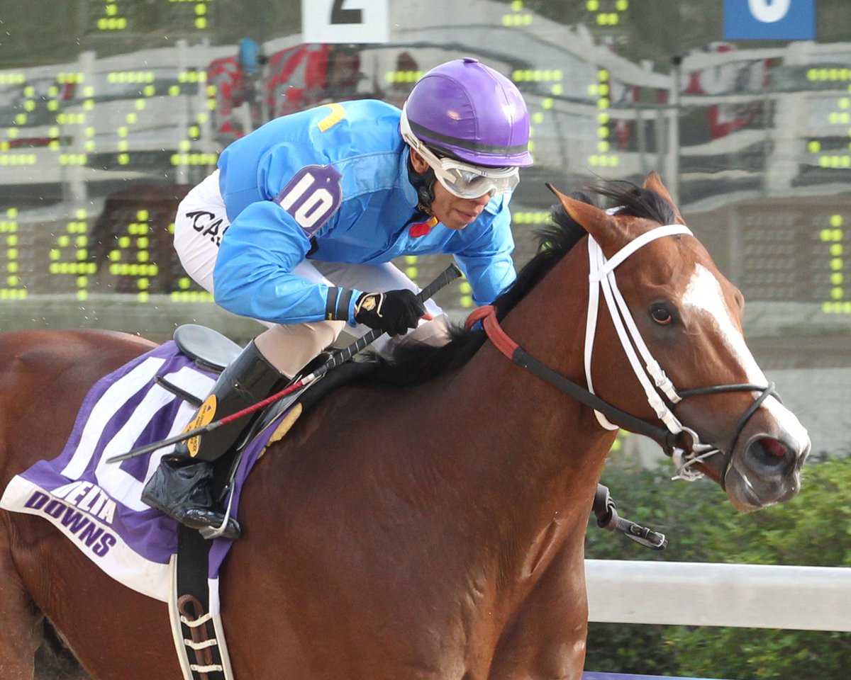 deltaracing's tweet photo. The Louisiana Legacy was won by Sea Vow on Jackpot Day! #JP2015 https://t.co/2SDbm5biDS