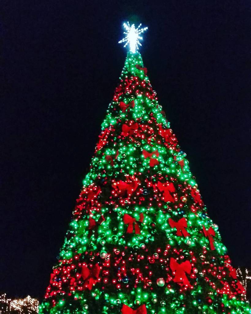 dawnchats's tweet photo. Tree is lit. Fun! #lightupocala #lightup2015 #ocala #floridablogger #florida #christmas https://t.co/7jImROEaor https://t.co/1o7HN6RVdW