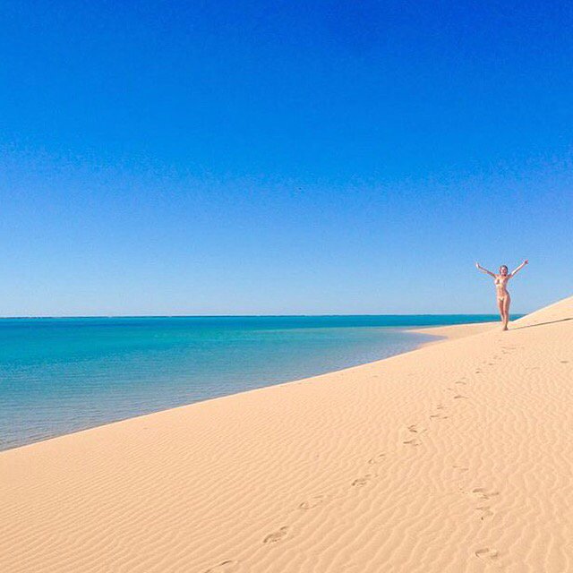 thecoralcoast's tweet photo. Absolute perfection! Your own slice of paradise in #Exmouth... Photo credit: @misshollywoodmeow https://t.co/b4J5lt84f8