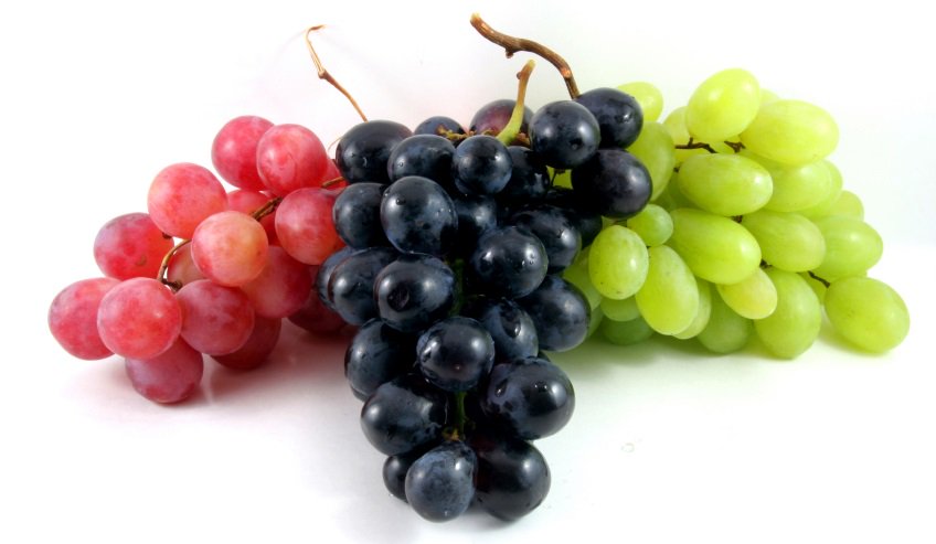 tweetsaludables's tweet photo. 10 beneficios de la uva: https://t.co/qcMW3DCh9F https://t.co/8GNRDcteA1