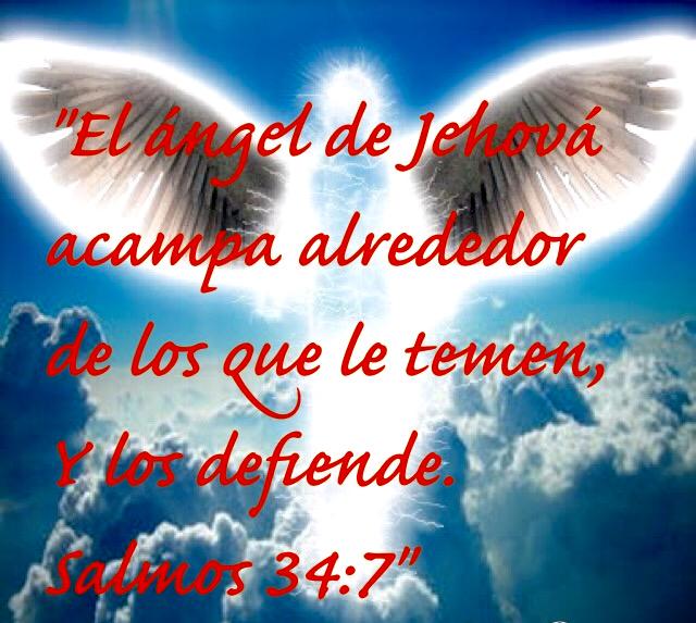 352005Coco's tweet image. 