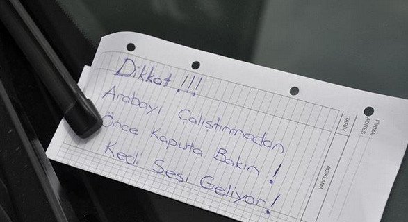 ToramanKedi's tweet photo. Arkadaşlar zahmet olmazsa yayabilir miyiz?
Üşüyüp arabanızın motoruna kedi sığınmış olabilir.Ne siz üzülün ne onlar. https://t.co/9j2y3yo0t6