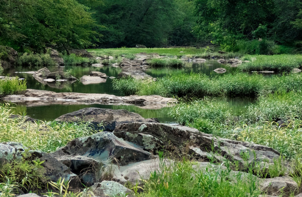 Eno river. #Durham #NorthCarolina #river