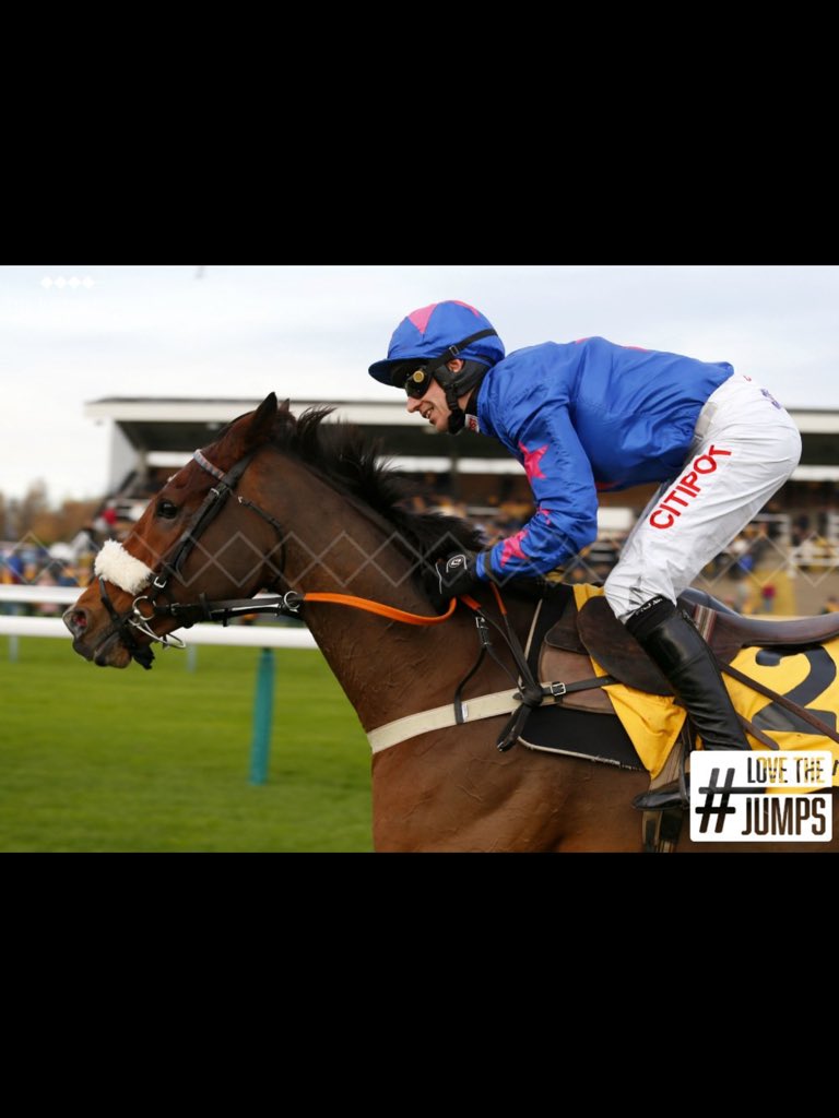 CueCard99's tweet photo. What a horse and what a man #ClassJockey #Underrated https://t.co/rDEKU0AjWW
