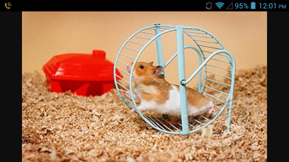 VGabele's tweet image. 