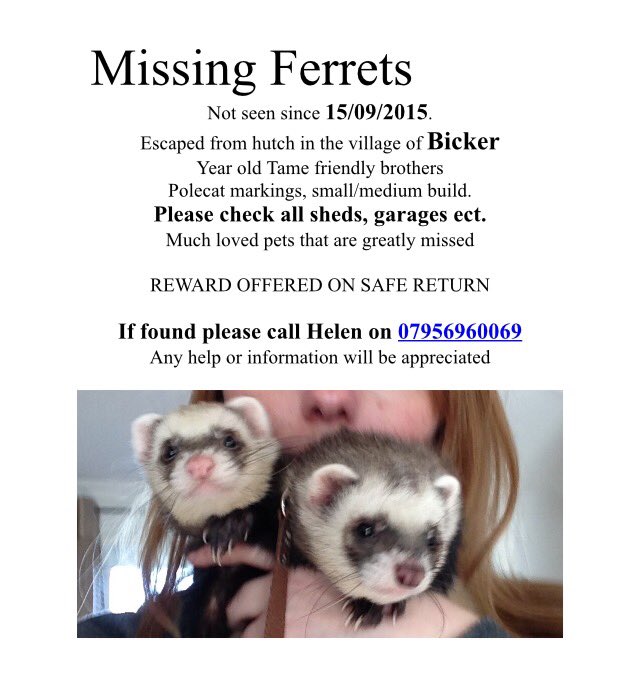 dookandstash's tweet photo. It's very cold! Pray that we're somewhere warm tonight โ๏ธ๐ฟ๐๐ข #lostpets #ferretsUk #ferretsoftwitter https://t.co/sxxRyEgTAu