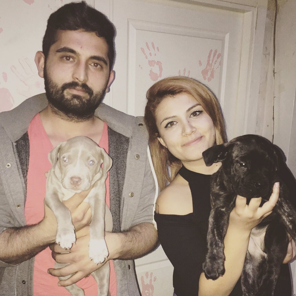 tugceyasar06's tweet photo. Hayvan sevgisi var bizde öncelik olarak :) https://t.co/FdGVycUbDW