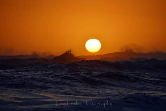 Lisa Leslie Photos tweet media