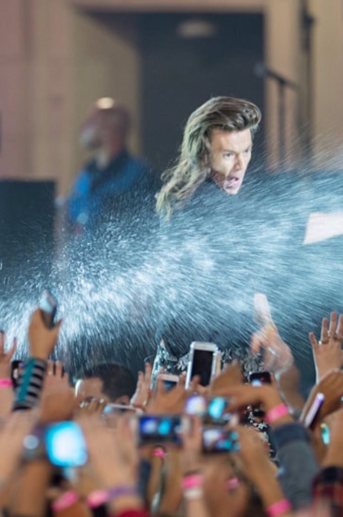 harryposts's tweet image. YESSSSS so wild