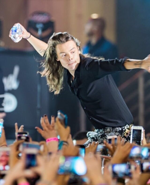 harryposts's tweet image. YESSSSS so wild