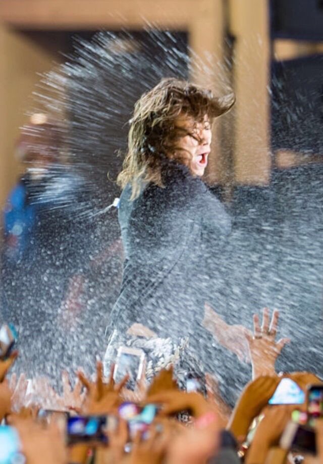 harryposts's tweet image. YESSSSS so wild