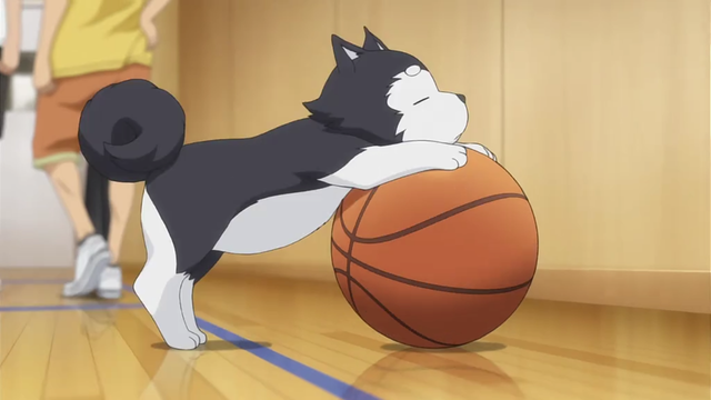 Crunchyroll's tweet photo. Japan lists its top 20 CUTEST anime mascot characters ~ ✨

What do you think of the list? https://t.co/akT2sjUh24 https://t.co/ToBIpGJjDe