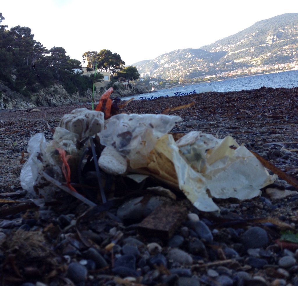 PaddleCleaner's tweet photo. Nettoyage Paloma beach 09/11/15 https://t.co/zjDUzs9FAL