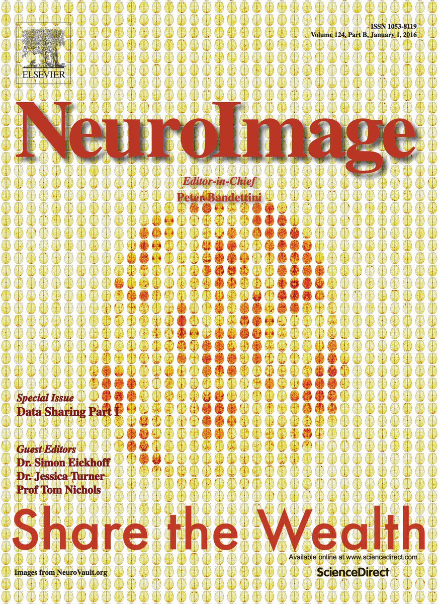 NeuroImage