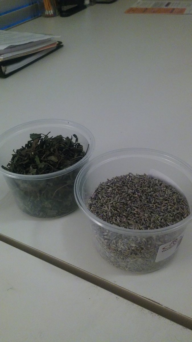 Fresh lavender and peppermint  ready for you guys ! Sign up for our VIP list#naturalhair #BlackFridayShopping2015