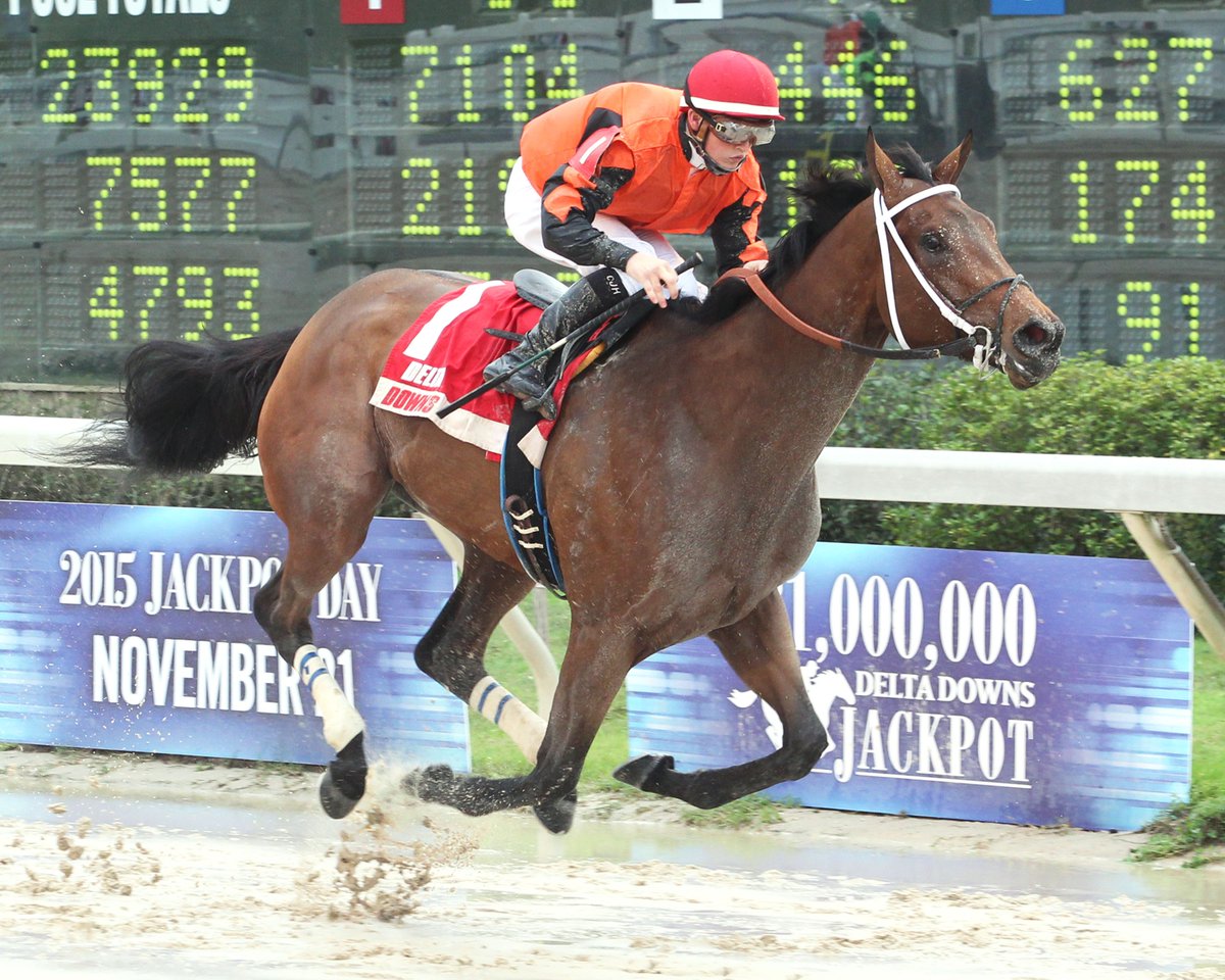 deltaracing's tweet photo. Mayla wins the Orleans Stakes at Delta Downs! #JP2015 https://t.co/z7tcSVJKJM