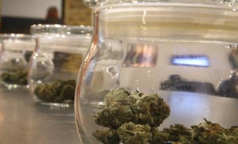Inside Cannabis tweet media
