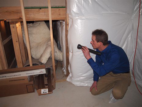AlbanyPest's tweet photo. The Winter Pest Invasion https://t.co/a5FYjTQGkE https://t.co/ZmsGQAC4Yb