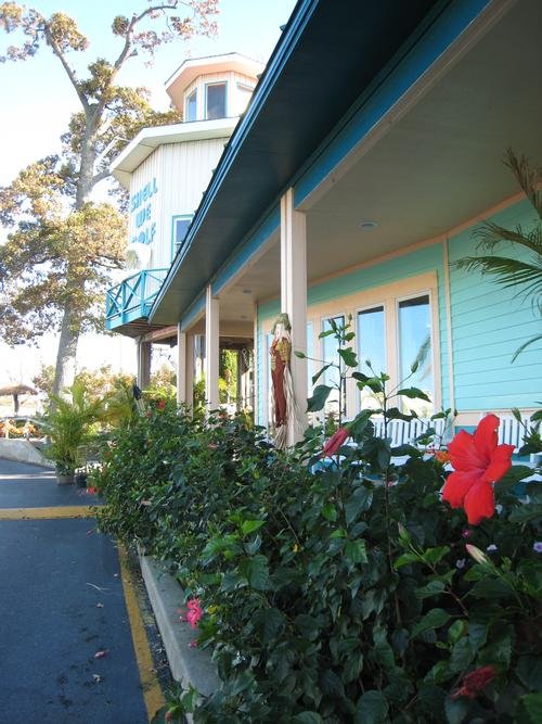 SeaShellShop's tweet image. The beauty is in the details.