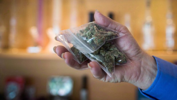 CTVToronto's tweet image. Legalized pot should be sold through LCBO: union ow.ly/UVyV1
