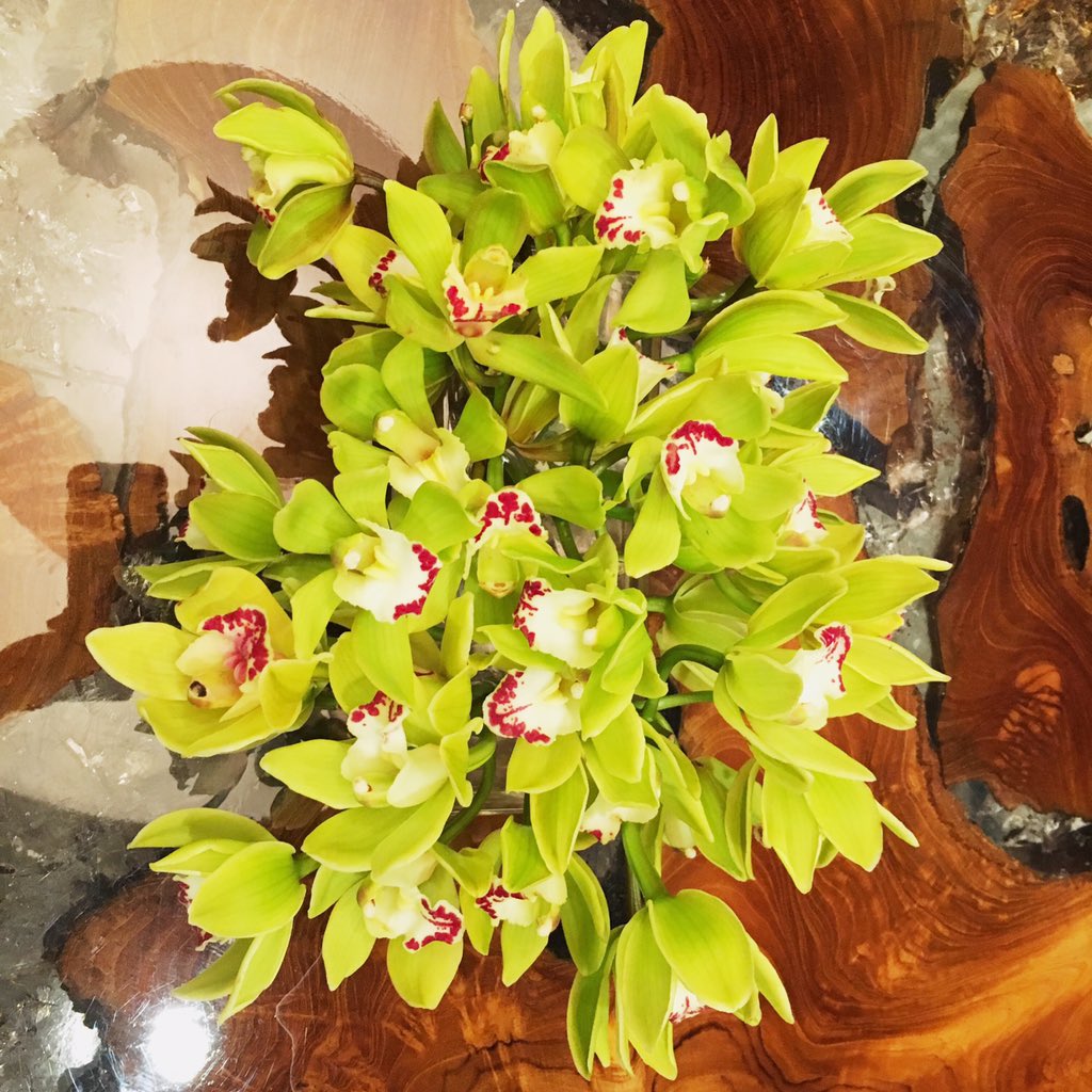 EventsWithAloha's tweet photo. Fall blooms. #inspiration #hawaii #client #eventswithaloha https://t.co/QqTfoNOAu0