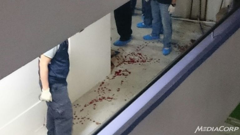 Embedded image permalink