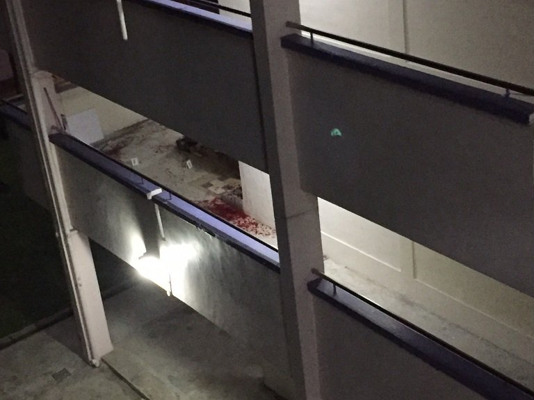 Embedded image permalink