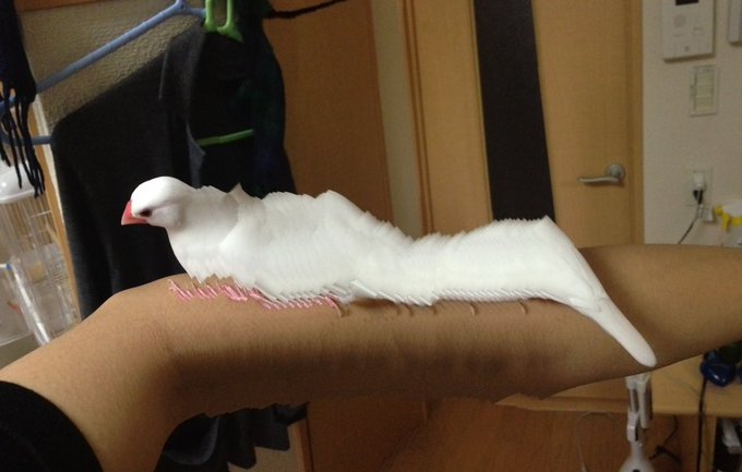 ひょえー パノラマ写真の失敗作 が完全に異次元の世界ｗ Matomehub まとめハブ