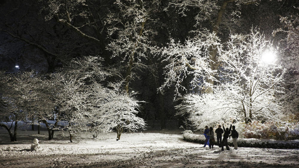 chicagotribune's tweet photo. Season's first snow is Chicago's largest November snowfall in 120 years https://t.co/MGTvmDjQ5B https://t.co/lSkjpUBLNH