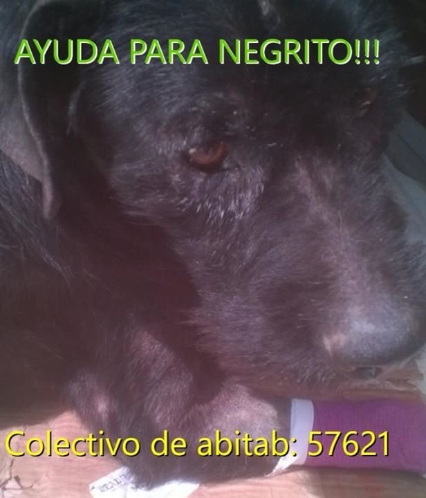 Carla DCF tweet media