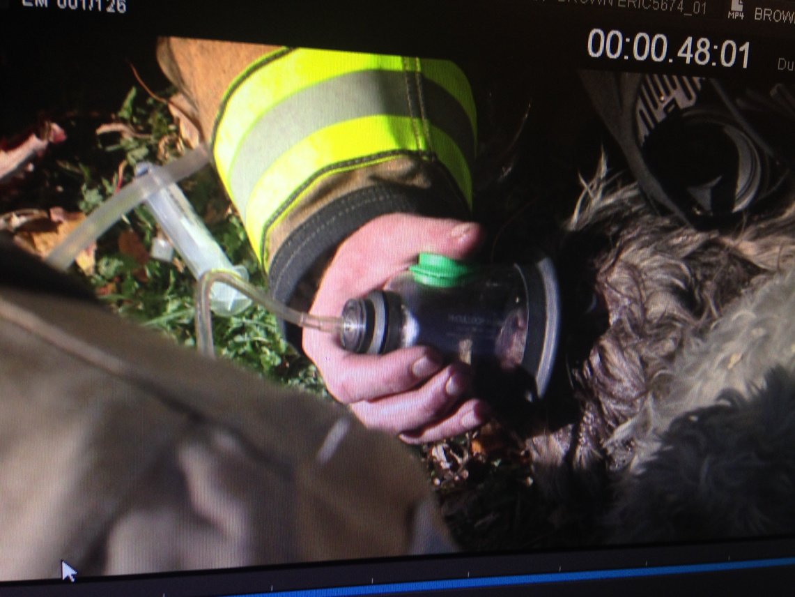 MattMcNews's tweet image. That's @MurrayCityUT firefighters using oxygen to save a dog.  Exclusive video on @fox13now after football