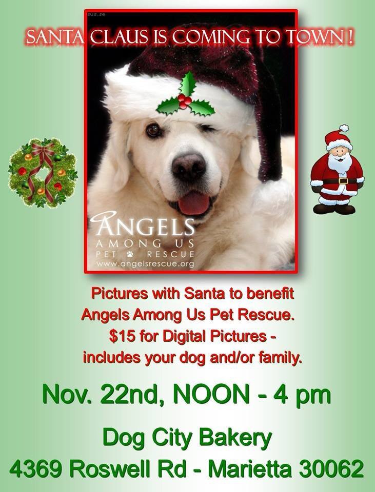angelsrescue's tweet photo. Bring your pooch and your kids for pics w Santa, benefitting @angelsrescue!   We will have adoptable dogs, too! https://t.co/ufuQvsojkz