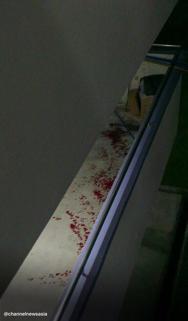 Embedded image permalink