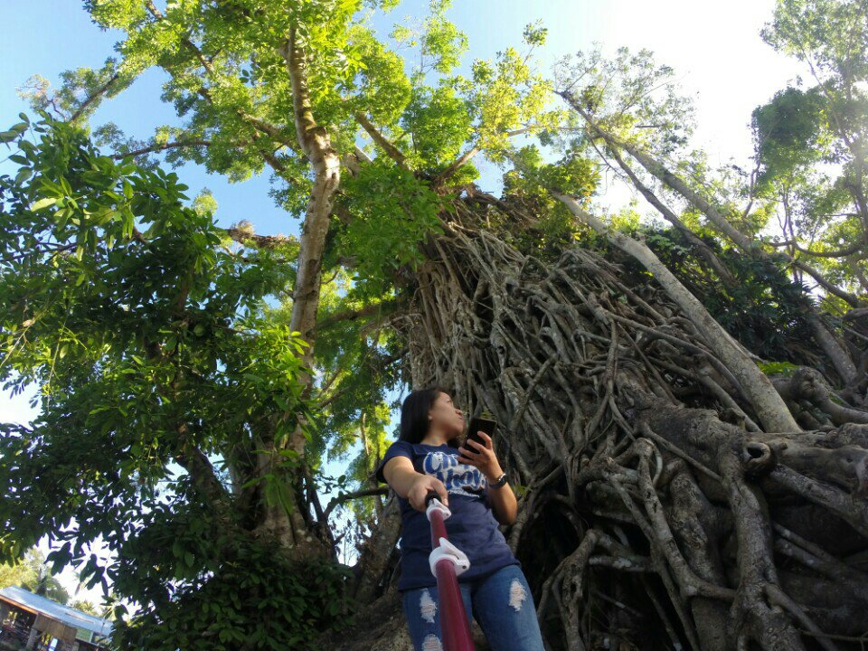 melizh05's tweet photo. ☝#milleniumtree #goproshot #goproph (@ Largest Balete Tree in Asia) https://t.co/Mcgl9Qr11v https://t.co/HmAA7vLS87