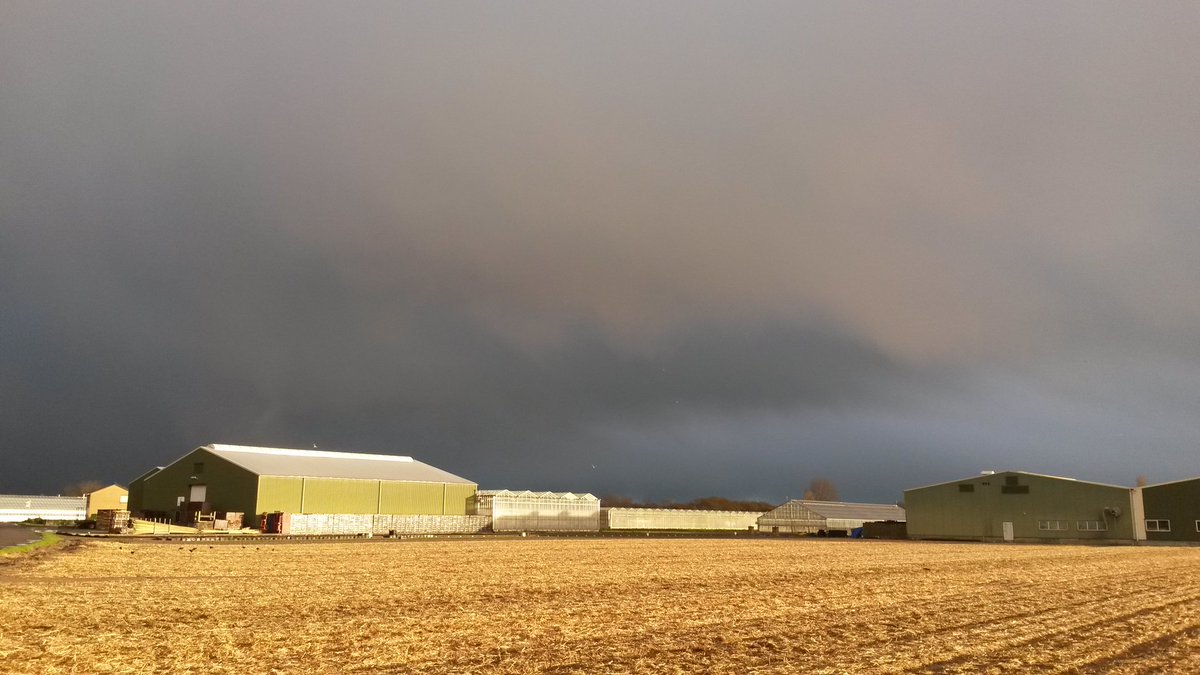 MMDuinflowers's tweet image. Goodmorning!  Clouds are rolling in....