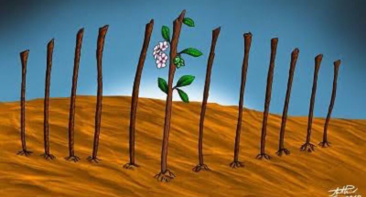 Nr16
Um líder pode ser rejeitado pelo povo, e não ser rejeitado por Deus.#rpsp