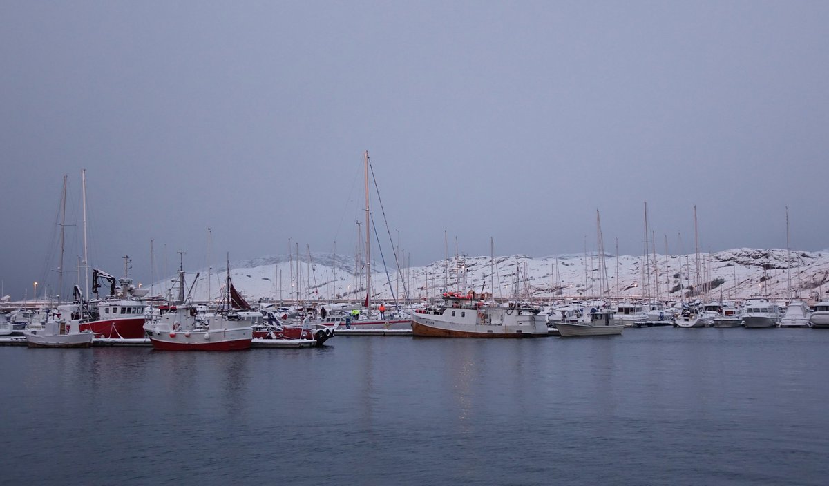 Good morning from Bodø. Norway.. a fresh walk today prior to boarding the #Hurtigruten this afternoon 😊