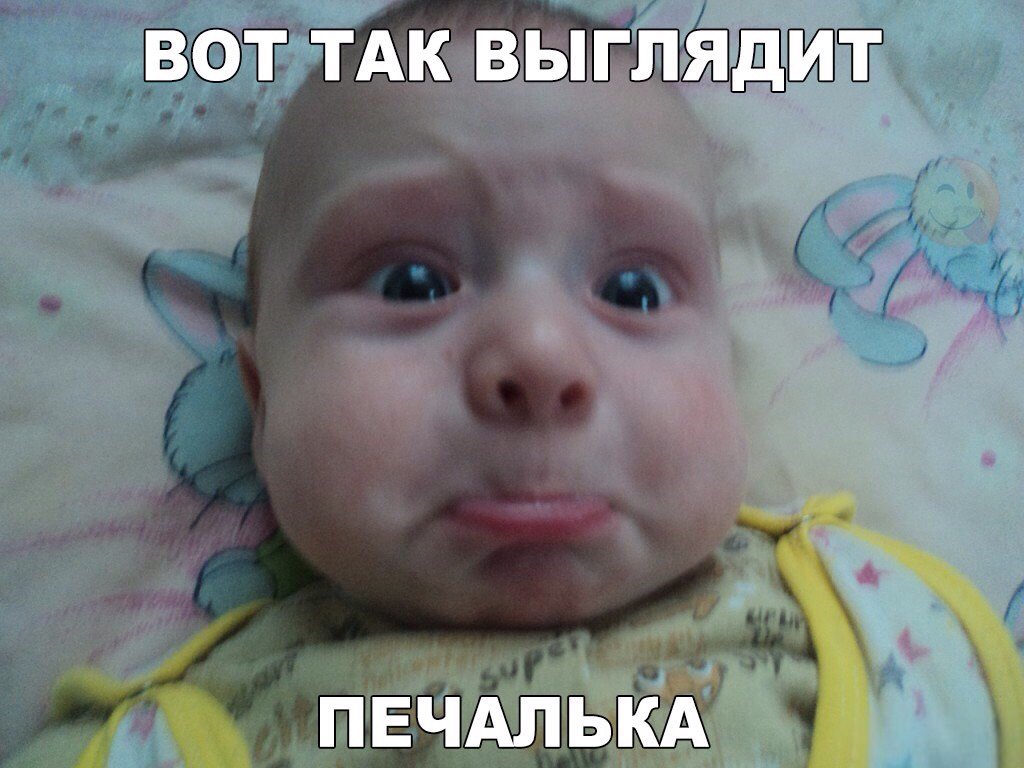IvanIvanKorolev's tweet photo. милая печалька :) #милота #печалька https://t.co/cZUokUKMIq