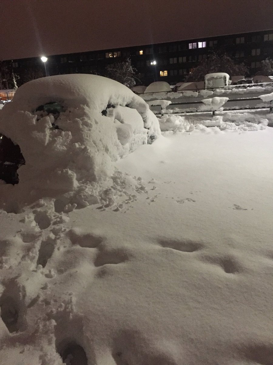 OOC: my car 😒 I don't think I'm gonna get to work today 🤔