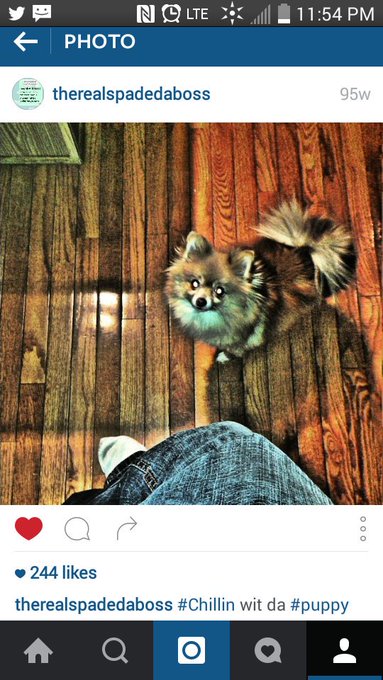 #ThrowBack #PuppyFever #InstaGram https://t.co/EkIYHWS6JV<a href="/tag/throwback"class="tags">#ThrowBack</a><a href="/tag/puppyfever"class="tags">#PuppyFever</a><a href="/tag/instagram"class="tags">#InstaGram</a>