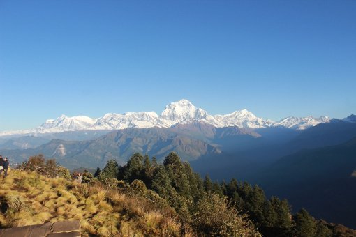LetsTravel14's tweet photo. https://t.co/CMemNHQ7DK

A complete tour &amp; trek solution. More information contact us at info@letstrekandtravel.com https://t.co/Ac21xNCdC4